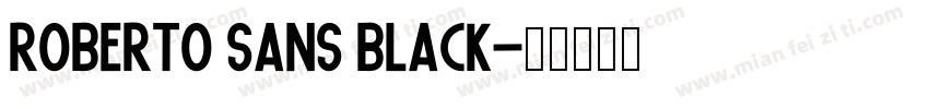 Roberto Sans Black字体转换